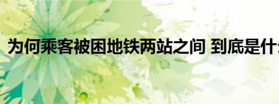 为何乘客被困地铁两站之间 到底是什么原因