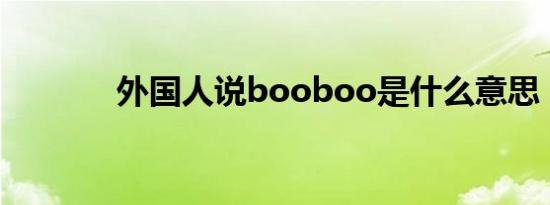 外国人说booboo是什么意思