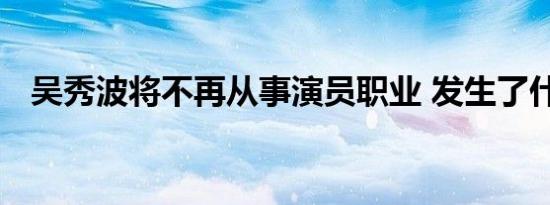 吴秀波将不再从事演员职业 发生了什么事