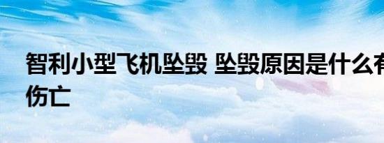 智利小型飞机坠毁 坠毁原因是什么有没有人伤亡