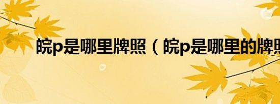 皖p是哪里牌照（皖p是哪里的牌照）
