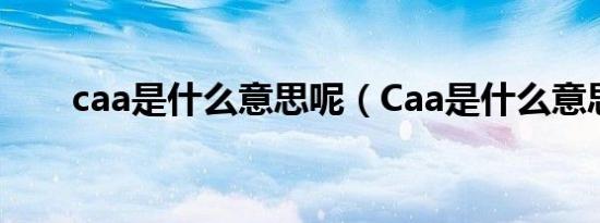 caa是什么意思呢（Caa是什么意思）