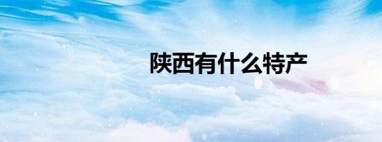 陕西有什么特产