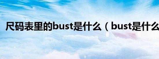 尺码表里的bust是什么（bust是什么尺码）