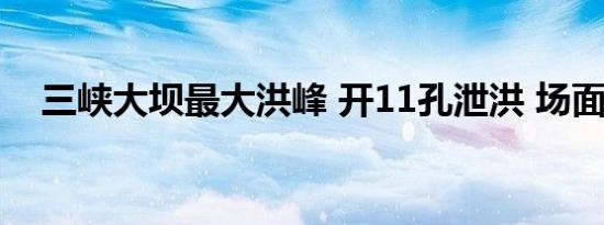 三峡大坝最大洪峰 开11孔泄洪 场面震撼