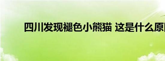 四川发现褪色小熊猫 这是什么原因