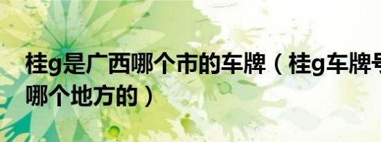 桂g是广西哪个市的车牌（桂g车牌号是广西哪个地方的）