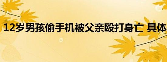 12岁男孩偷手机被父亲殴打身亡 具体怎样的