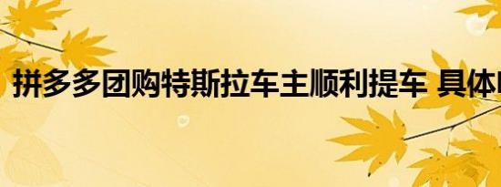 拼多多团购特斯拉车主顺利提车 具体啥情况