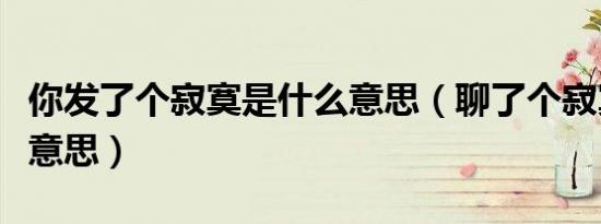 你发了个寂寞是什么意思（聊了个寂寞是什么意思）