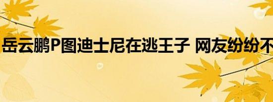 岳云鹏P图迪士尼在逃王子 网友纷纷不淡定了
