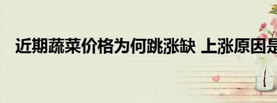 近期蔬菜价格为何跳涨缺 上涨原因是什么