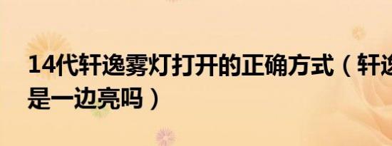 14代轩逸雾灯打开的正确方式（轩逸倒车灯是一边亮吗）