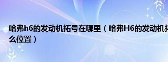 哈弗h6的发动机拓号在哪里（哈弗H6的发动机拓印号在什么位置）