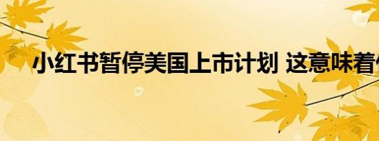 小红书暂停美国上市计划 这意味着什么