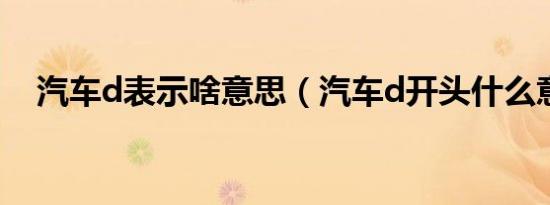 汽车d表示啥意思（汽车d开头什么意思）