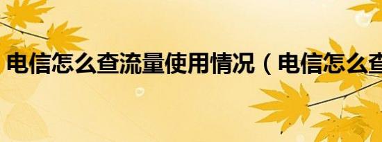 电信怎么查流量使用情况（电信怎么查流量）
