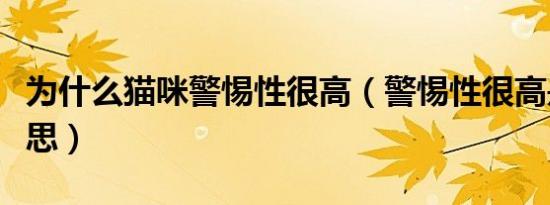 为什么猫咪警惕性很高（警惕性很高是什么意思）