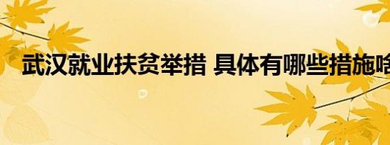 武汉就业扶贫举措 具体有哪些措施啥情况