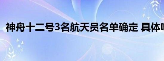 神舟十二号3名航天员名单确定 具体啥情况