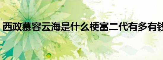 西政慕容云海是什么梗富二代有多有钱（图）