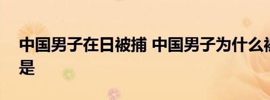 中国男子在日被捕 中国男子为什么被捕原因是