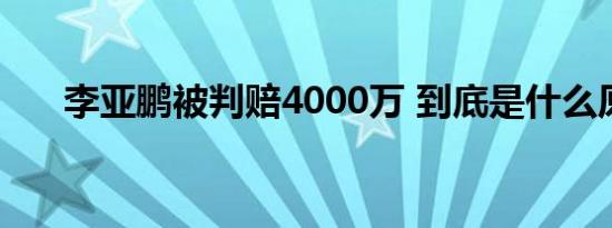 李亚鹏被判赔4000万 到底是什么原因