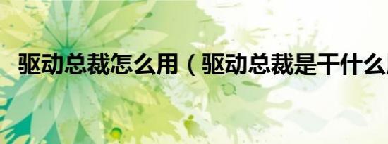 驱动总裁怎么用（驱动总裁是干什么用的）