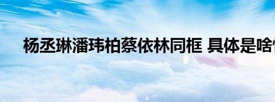 杨丞琳潘玮柏蔡依林同框 具体是啥情况