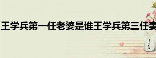 王学兵第一任老婆是谁王学兵第三任妻子背景