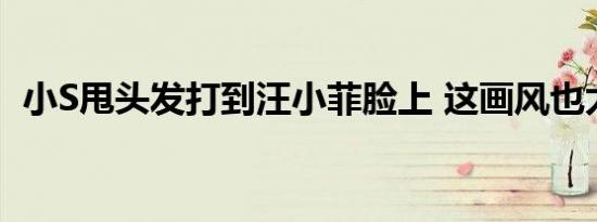 小S甩头发打到汪小菲脸上 这画风也太逗了