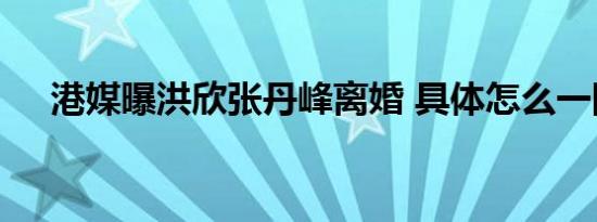 港媒曝洪欣张丹峰离婚 具体怎么一回事