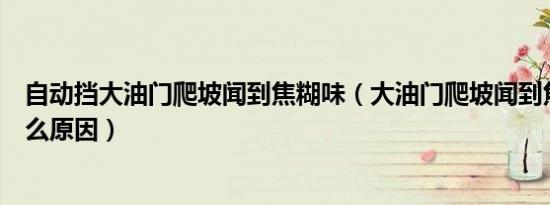 自动挡大油门爬坡闻到焦糊味（大油门爬坡闻到焦糊味是什么原因）