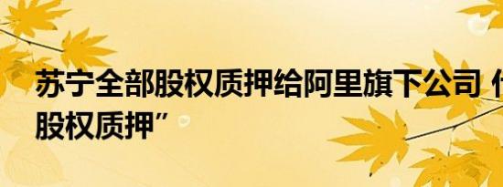 苏宁全部股权质押给阿里旗下公司 什么是“股权质押”