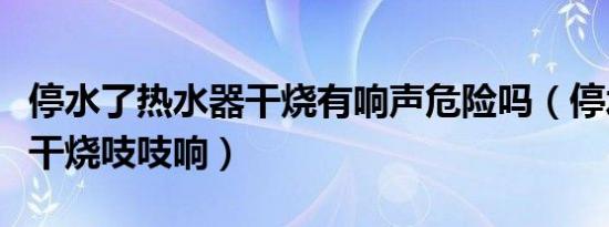 停水了热水器干烧有响声危险吗（停水热水器干烧吱吱响）