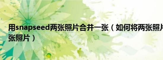 用snapseed两张照片合并一张（如何将两张照片合并为一张照片）