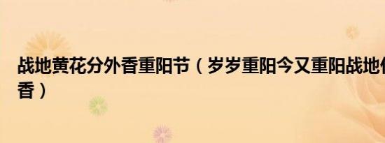 战地黄花分外香重阳节（岁岁重阳今又重阳战地什么花分外香）