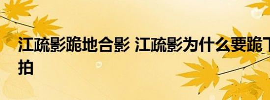江疏影跪地合影 江疏影为什么要跪下啥情况拍