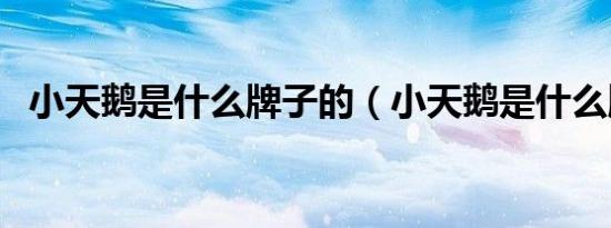 小天鹅是什么牌子的（小天鹅是什么牌子）