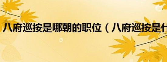 八府巡按是哪朝的职位（八府巡按是什么官）