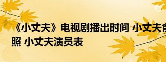 《小丈夫》电视剧播出时间 小丈夫俞飞鸿剧照 小丈夫演员表