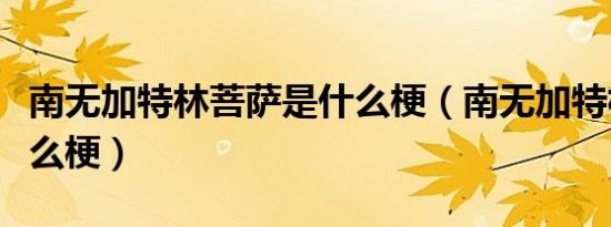南无加特林菩萨是什么梗（南无加特林佛是什么梗）