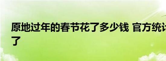 原地过年的春节花了多少钱 官方统计数据来了