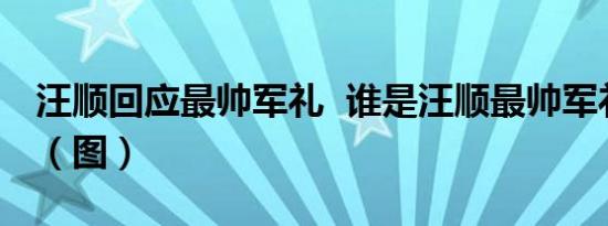 汪顺回应最帅军礼 谁是汪顺最帅军礼什么样（图）