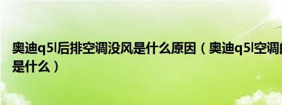 奥迪q5l后排空调没风是什么原因（奥迪q5l空调的三个模式是什么）