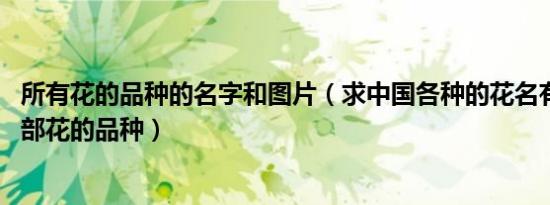 所有花的品种的名字和图片（求中国各种的花名有哪些 求全部花的品种）