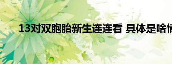 13对双胞胎新生连连看 具体是啥情况