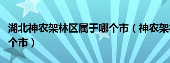 湖北神农架林区属于哪个市（神农架林区是哪个市）