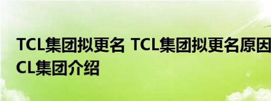 TCL集团拟更名 TCL集团拟更名原因是什么TCL集团介绍