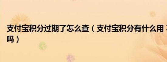 支付宝积分过期了怎么查（支付宝积分有什么用 不用会过期吗）
